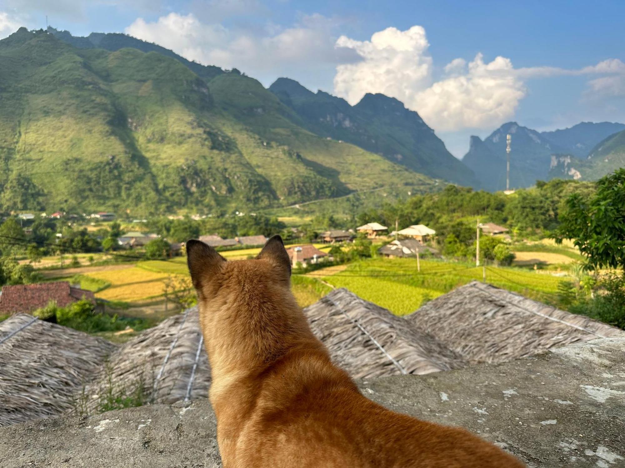 Du Gia Cozy Homestay & Tours Làng Cac Extérieur photo