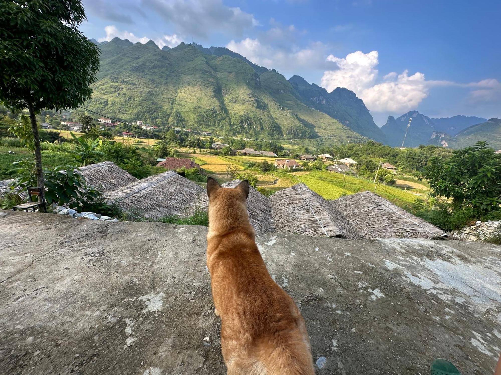 Du Gia Cozy Homestay & Tours Làng Cac Extérieur photo